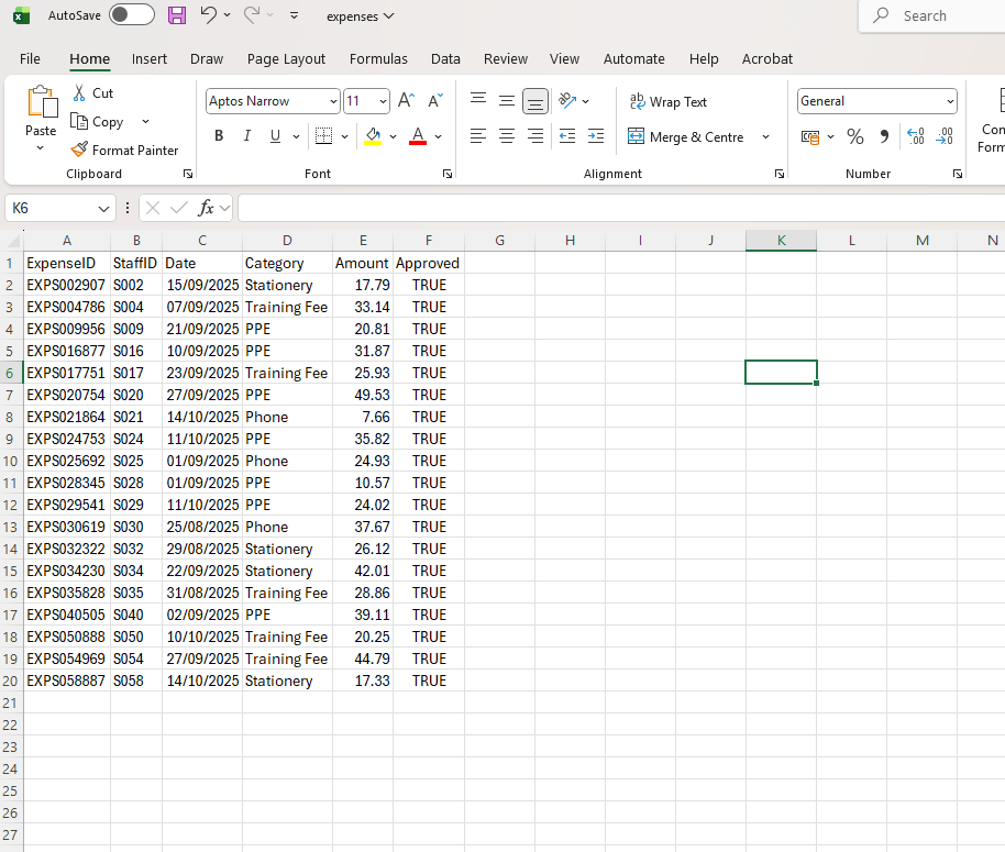 Excel Expenses